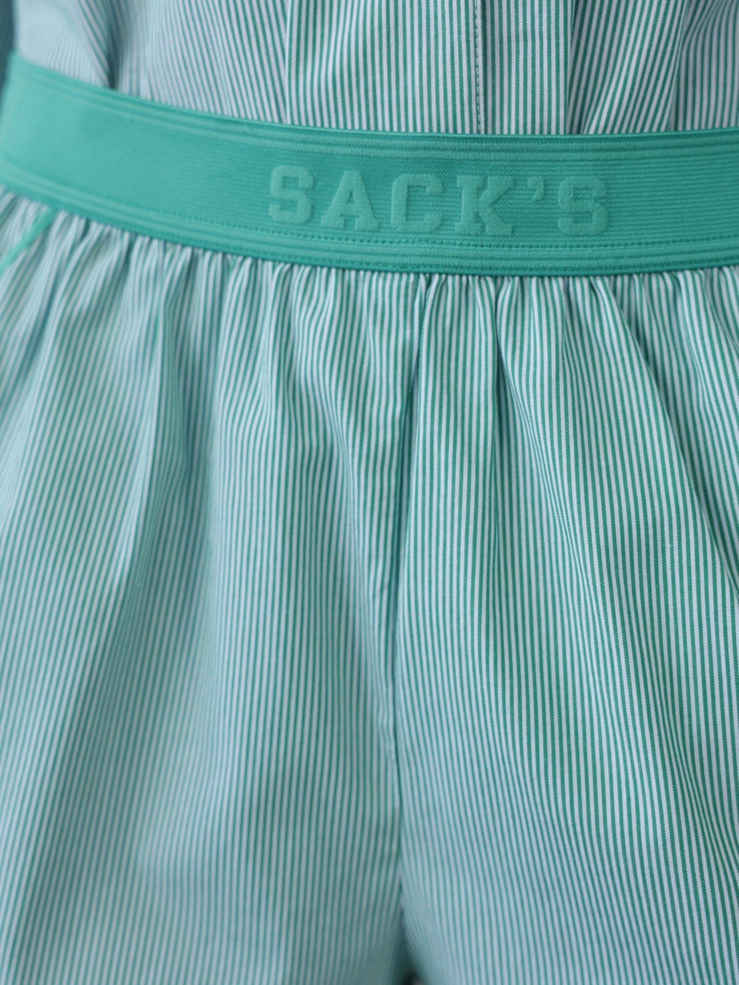 Embroidered Striped Shorts