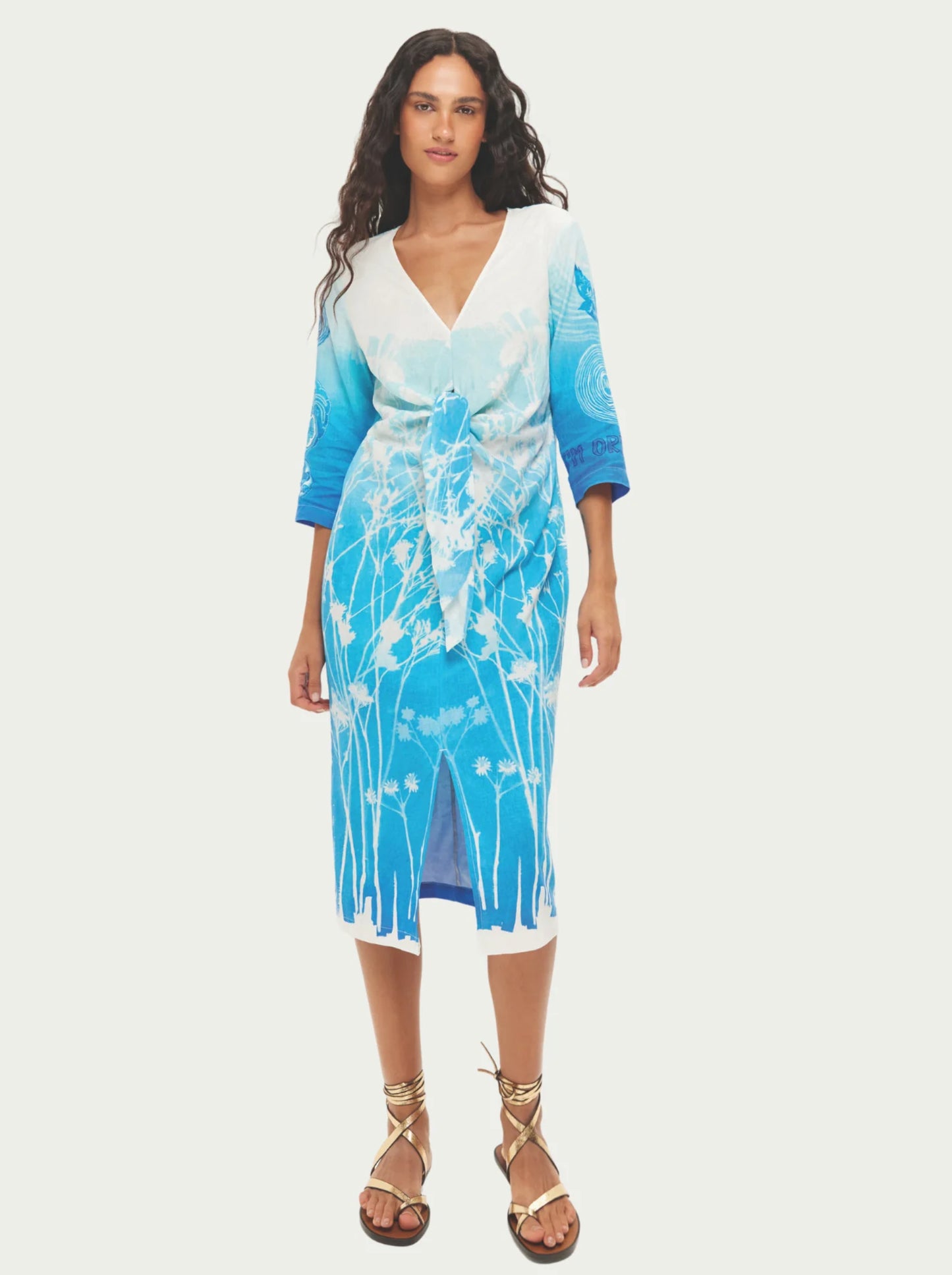 Selene V- Neck Dress