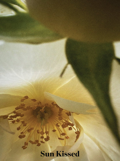 ווסט פשתן מחויט