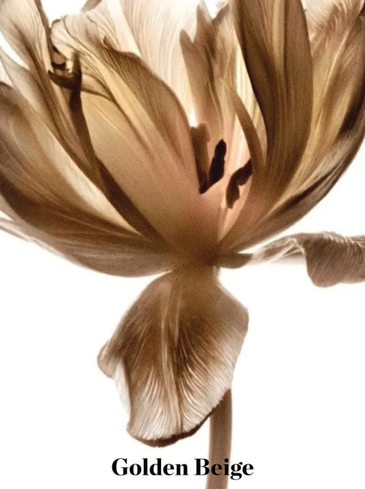 Cropped leather jacket