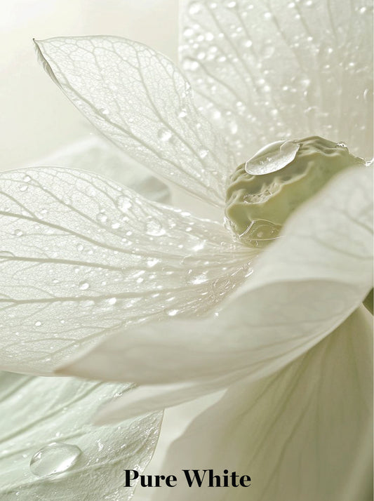 ג'קט פשתן מחויט